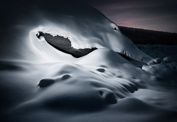 Tim Simmons