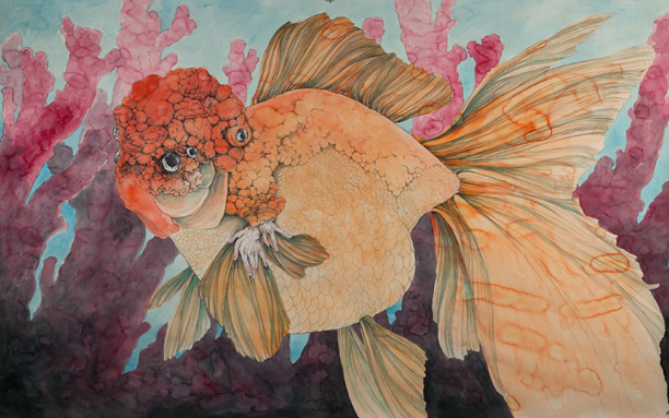 Caitlin Hackett Caitlin Hackett