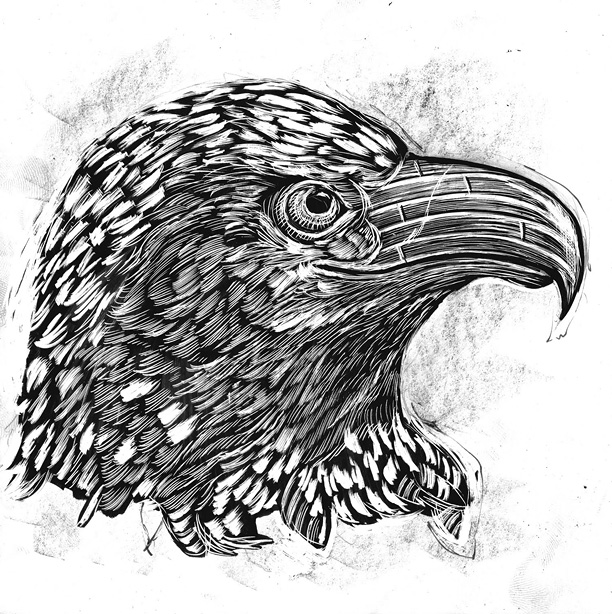 Dan Grzeca's "Reconstructed North American Fauna Portfolio Set" Dan Grzeca's "Reconstructed North American Fauna Portfolio Set"