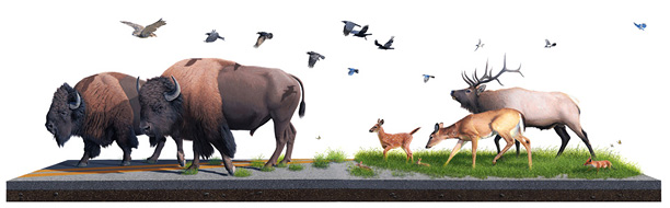 Josh Keyes "Sowers" Josh Keyes "Sowers"